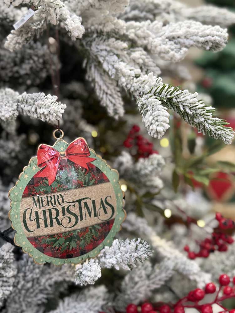 Blitz Sassari - Natale 2025 decorazione albero di natale con auguri di buon natale