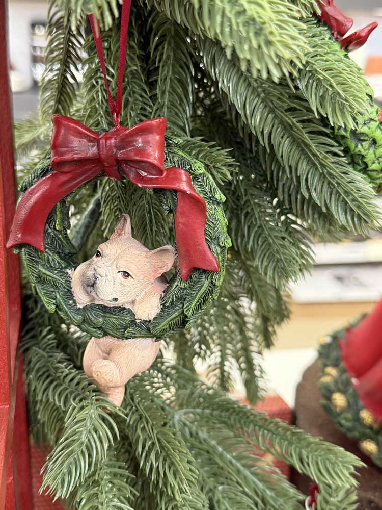 Blitz Sassari - Natale 2025 decorazioni con ghirlanda per porta